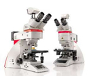 microscopia